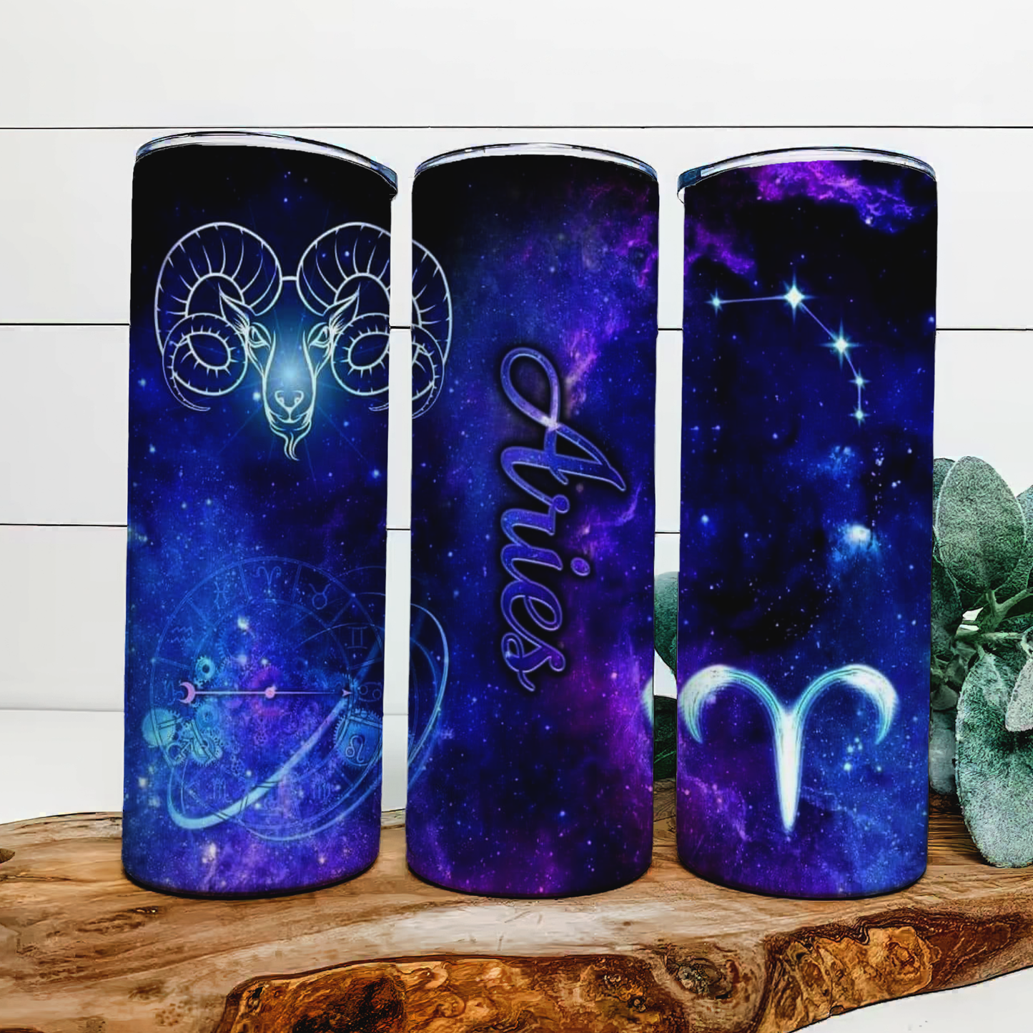 Aries tumbler
